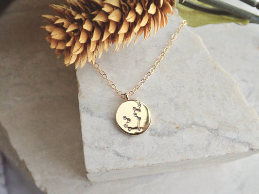 Zodiac Pendant Necklace