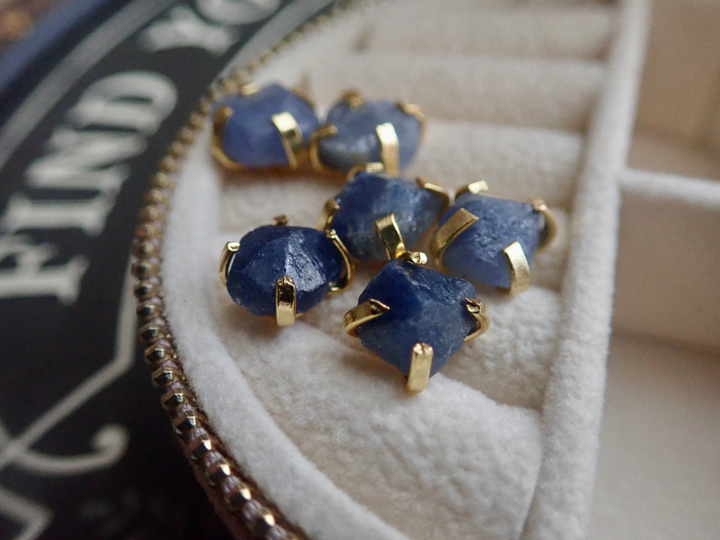 Stevey Sapphire Claw Studs
