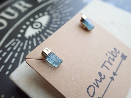 Alpina Aquamarine Earrings