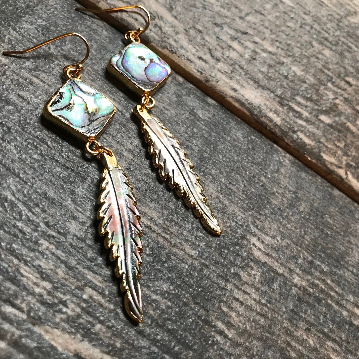 Anhinga Abalone Earrings