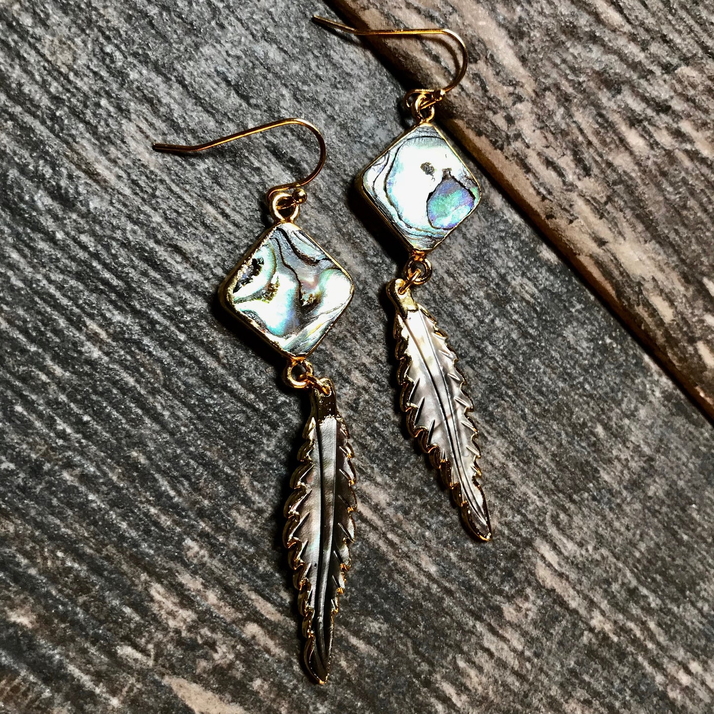 Anhinga Abalone Earrings