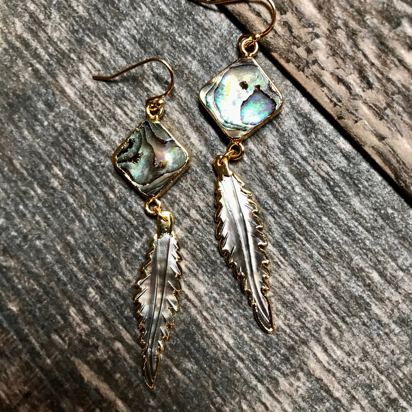 Anhinga Abalone Earrings