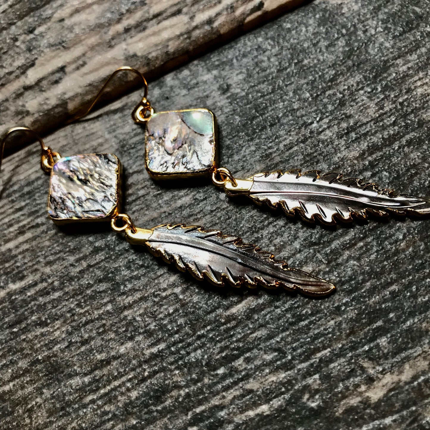 Anhinga Abalone Earrings