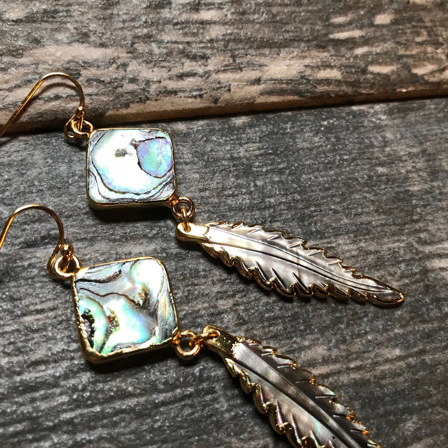 Anhinga Abalone Earrings