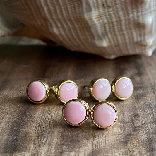 Pacifica Shell Earings