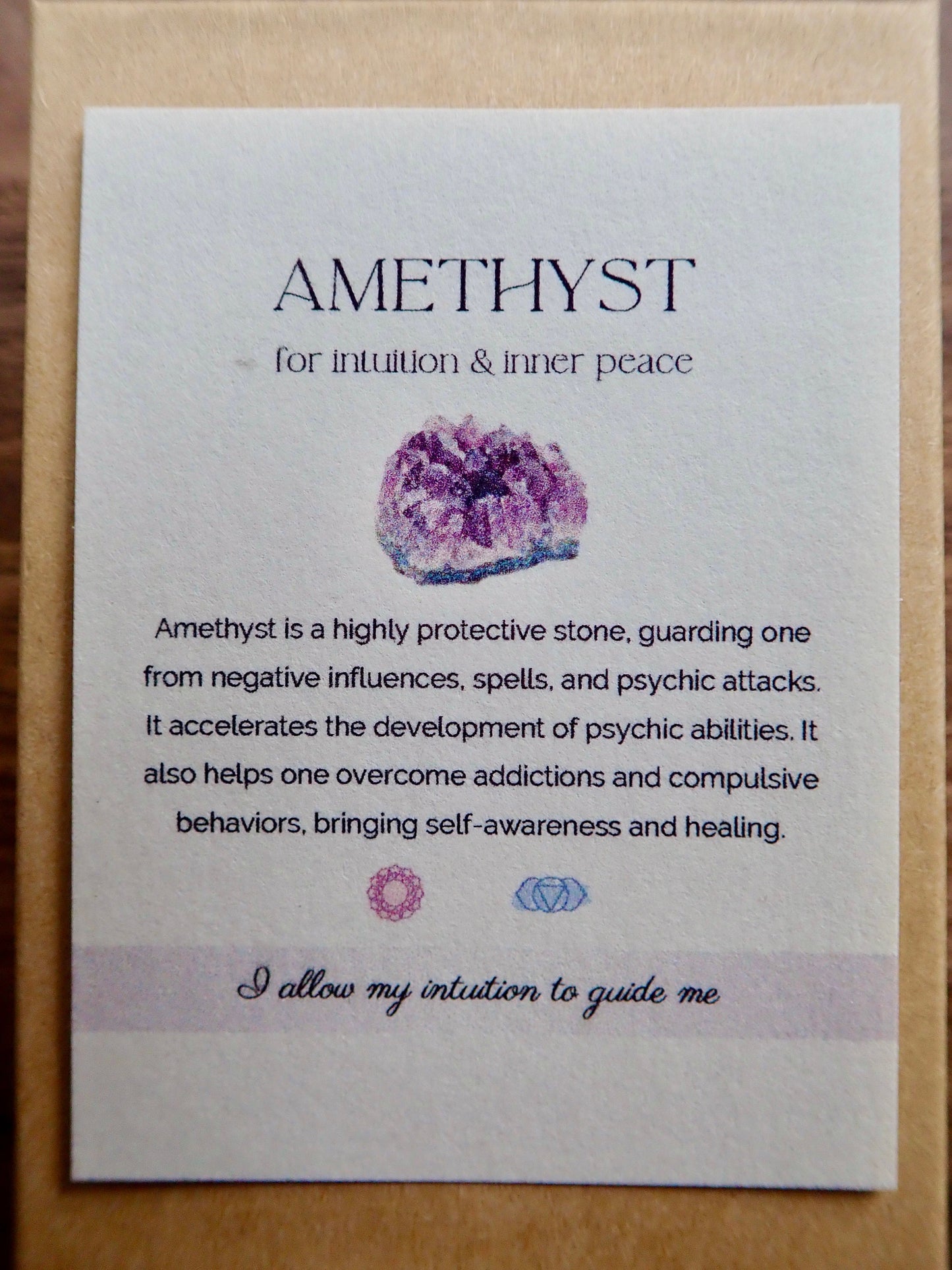 Last Chance Amethyst Point Earrings