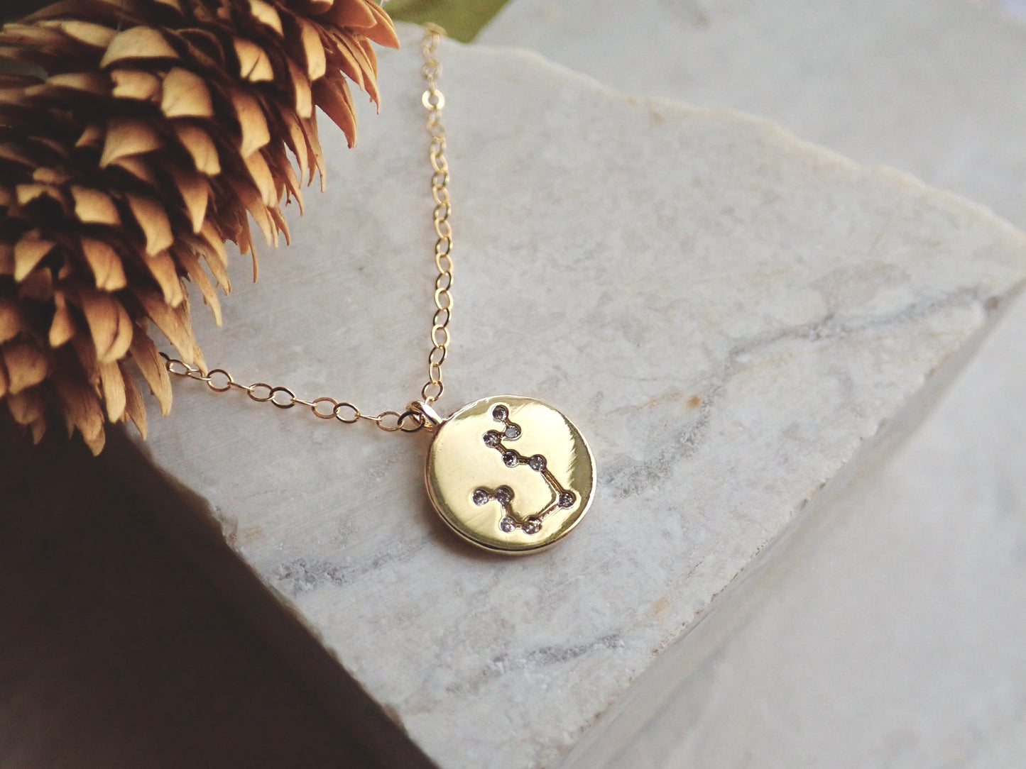 Zodiac Pendant Necklace