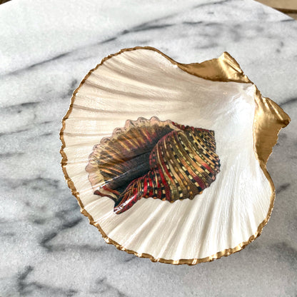 Majestic Conch Ring Dish