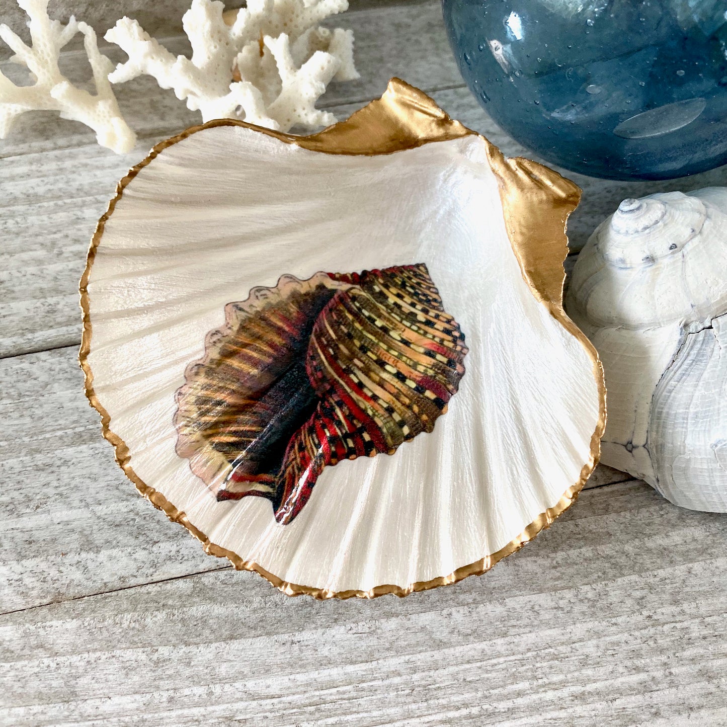 Majestic Conch Ring Dish