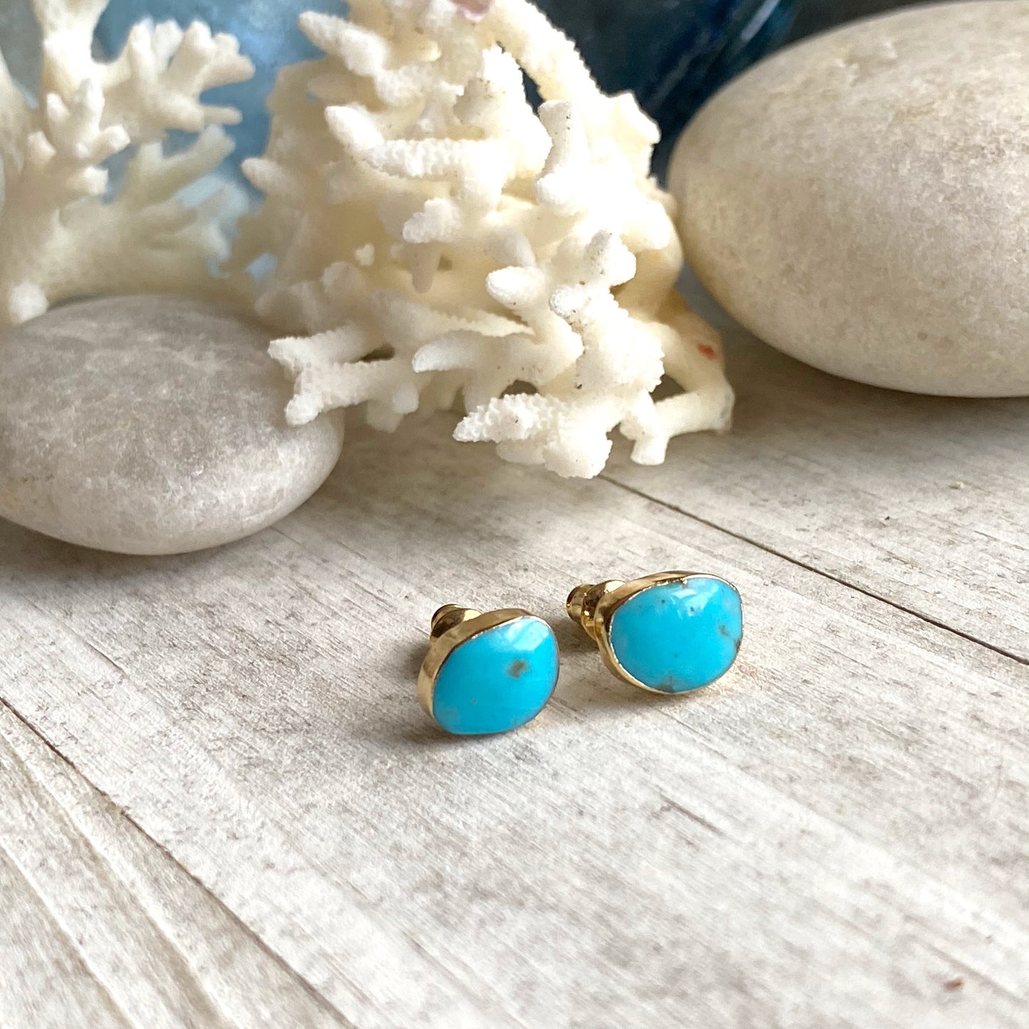 Copernicus Turquoise Earrings